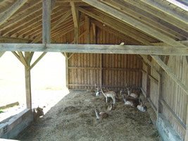 urlaub_auf_dem_bauernhof_tiere_in_der_huette